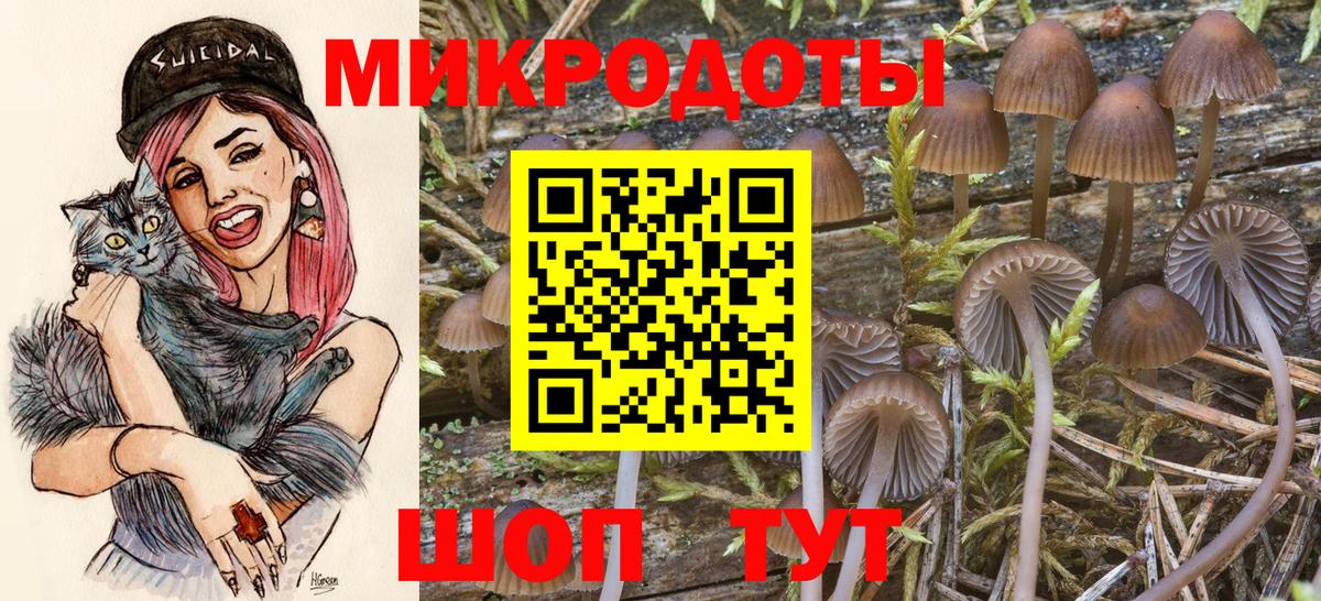 Галлюциногенные грибы ЛСД Новоалтайск