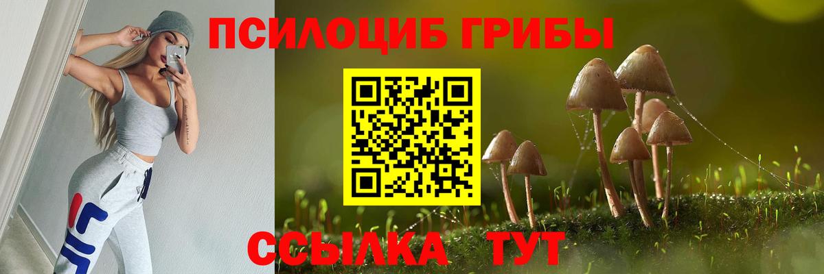 где купить наркоту  Вход с VPN  Новоалтайск  Галлюциногенные грибы ЛСД 
